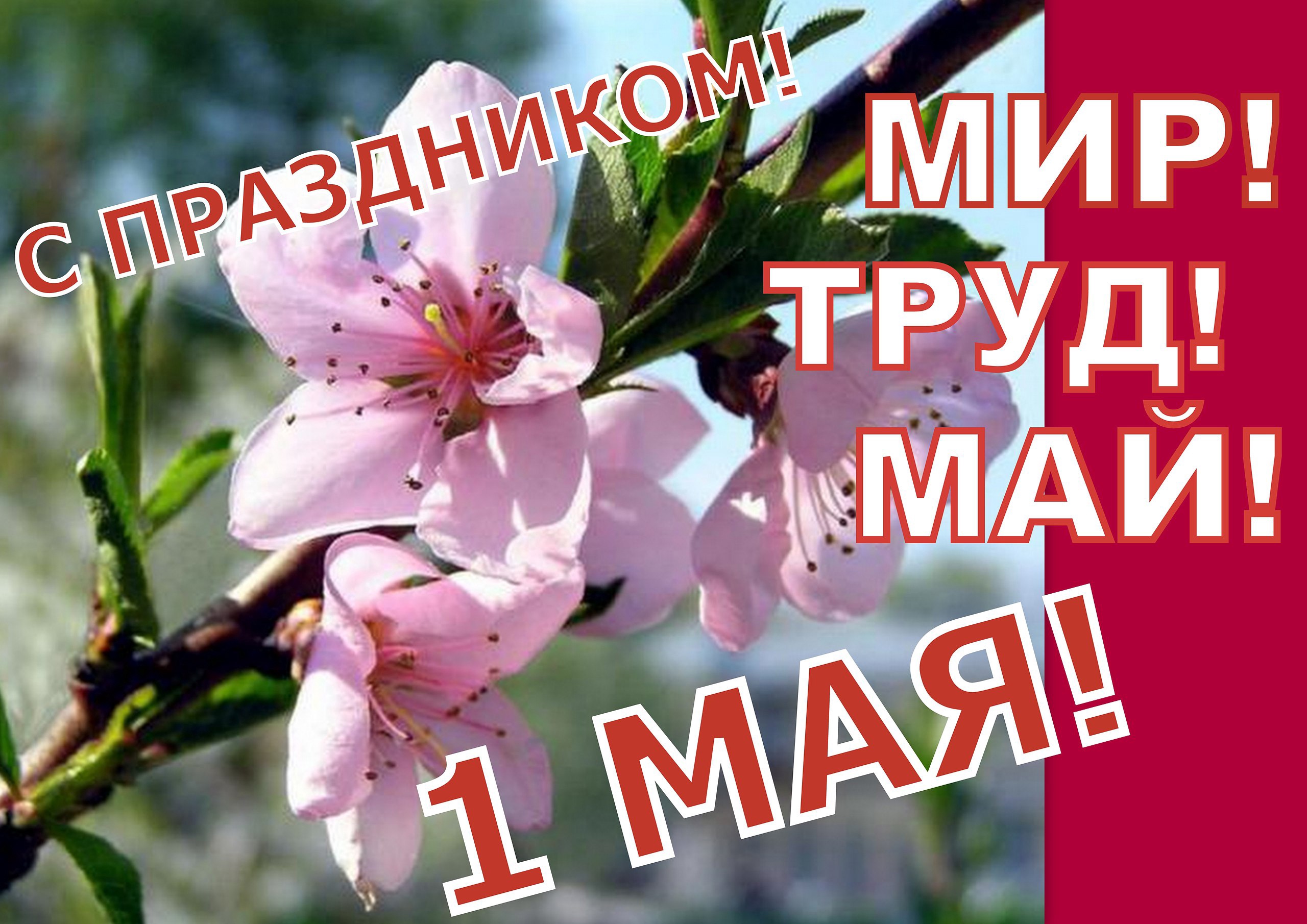 День весны и труда — 1 Мая!.