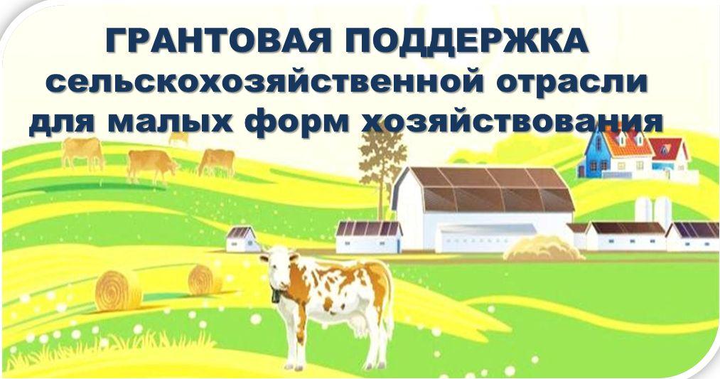 На развитие семейных ферм в Псковской области направлено около 30 млн рублей.