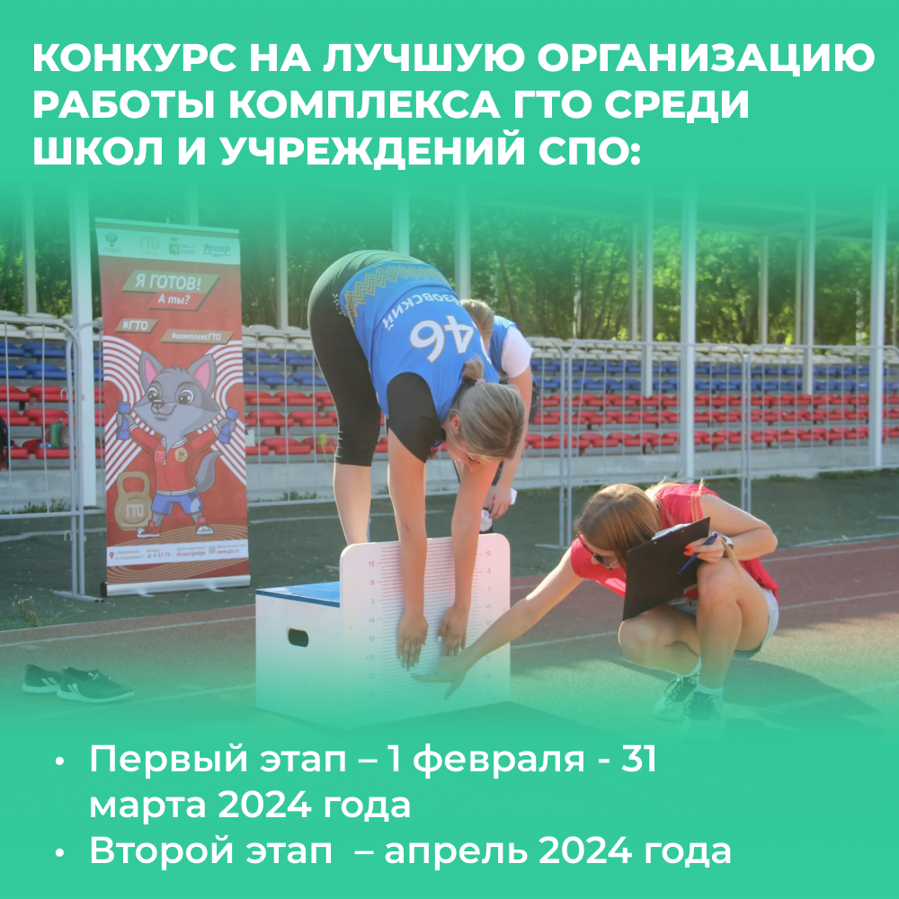 Конкурс на лучшую организацию работы комплекса ГТО пройдёт среди образовательных организаций Псковской области.