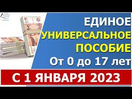 Единое пособие родителям более 45 000 детей выплачено в 2023 году в регионе.