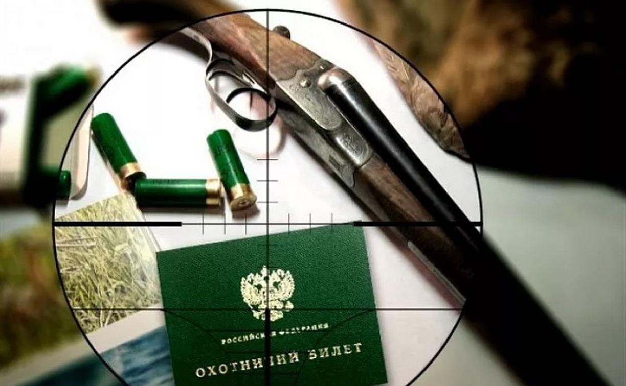 Лимиты и квоты добычи охотничьих ресурсов на территории Псковской области с 01 августа 2025 года до 01 августа 2026 года эксперты признали обоснованными.