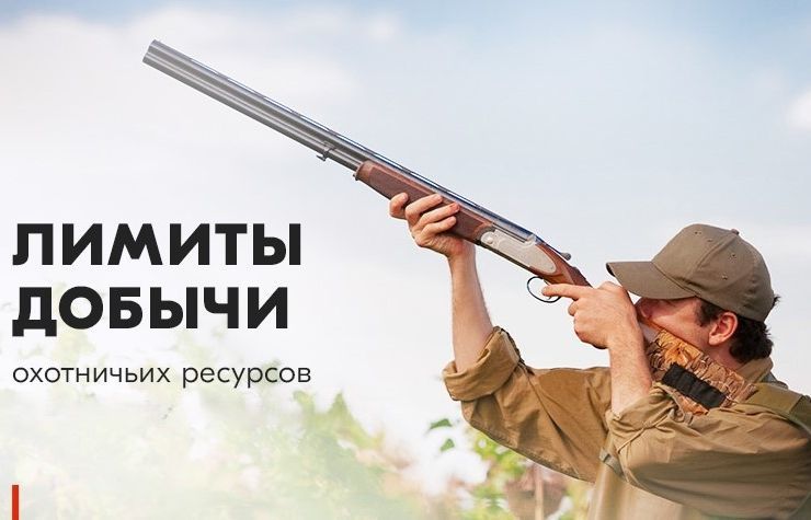 Уведомление о проведении общественного обсуждения материалов, обосновывающих лимиты и квоты добычи охотничьих ресурсов  на территории Псковской области,  на период с 1 августа 2025 г. до 1 августа 2026 г..